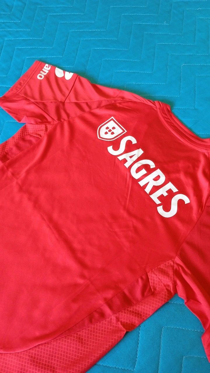 Camisola principal Benfica 24/25