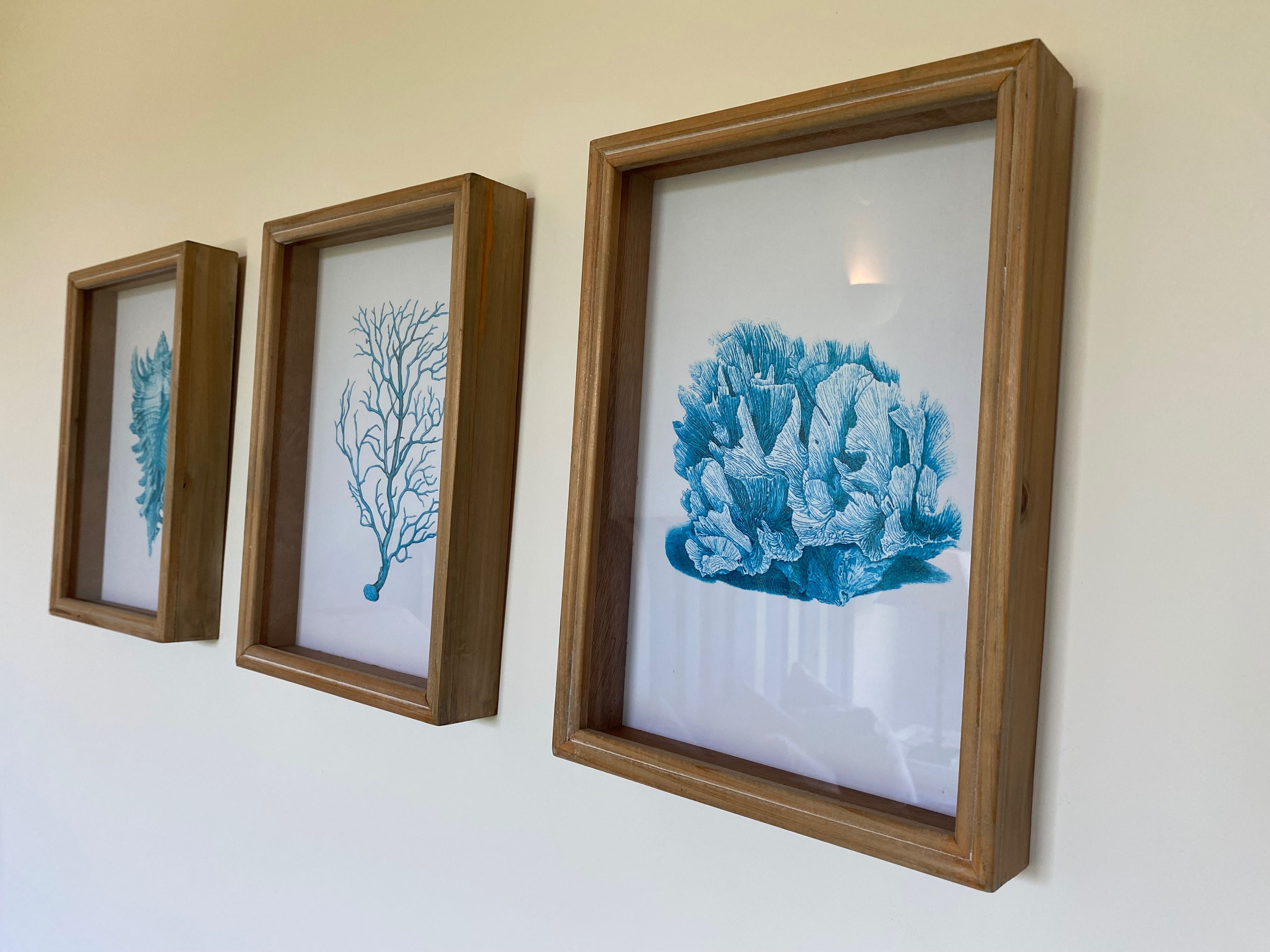 Quadros moldura em madeira     ( preço 3 quadros )
