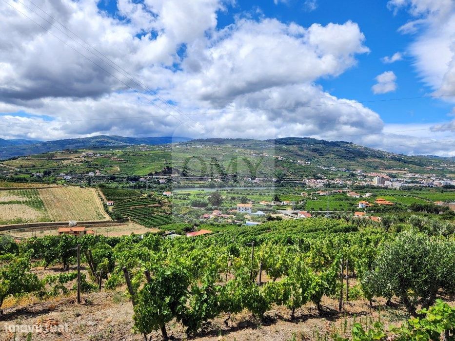 Terreno Vinícola com PIP em Apreciação para Boutique Hotel