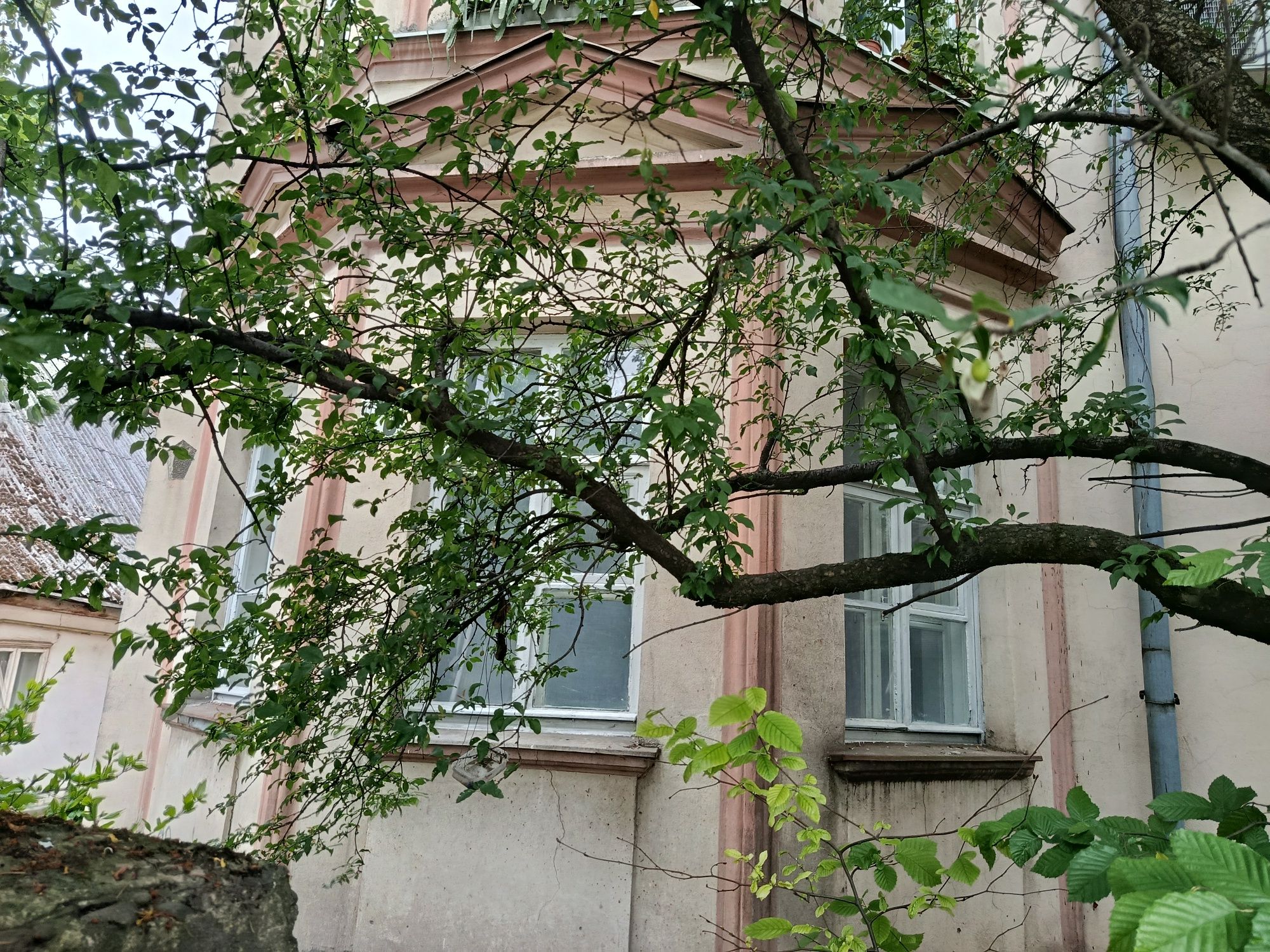 2 кімнатна квартира в центрі, можливо під комерцію