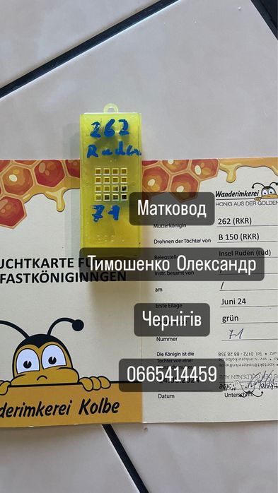 Матки Бакфаст F1. B1003, В200 Німеччина Ральф Кольбе