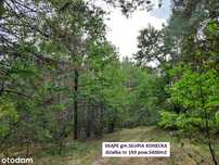 Najtańsza działka leśna 5400m2 (0,54ha) cena 10.800 (tylko 2zł za m2)