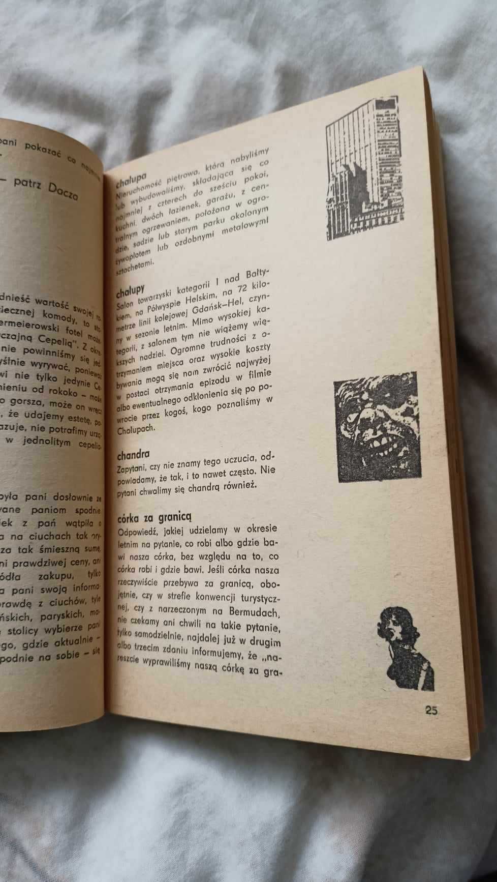 Książka Vademecum dla snobki i snoba