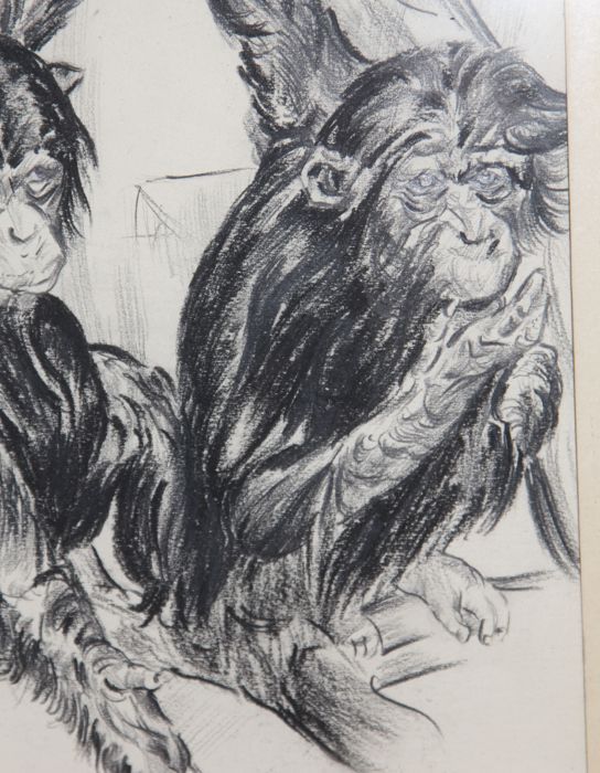Desenho em carvão vegetal do artista Holandês Van Laere - 1943