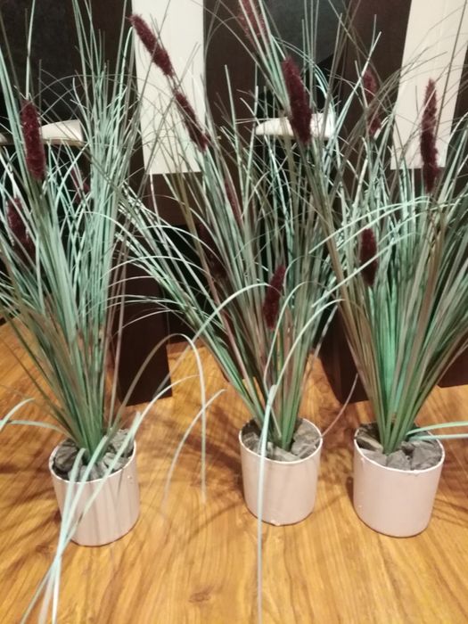 Sztuczna trawa w doniczce