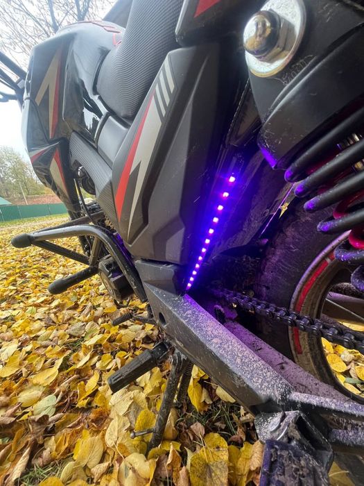 Musstang Fortune 200