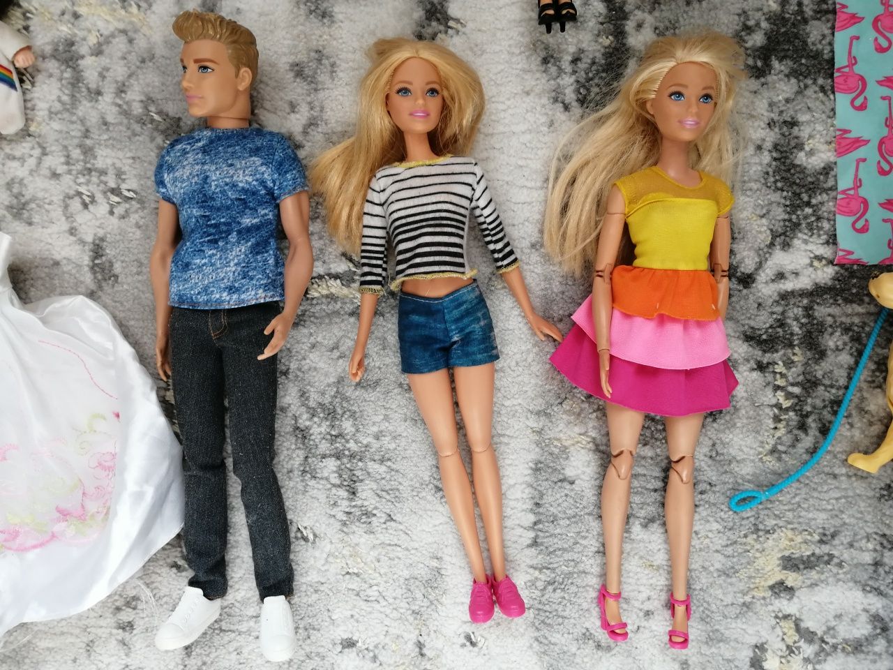 Zestaw lalek barbie, Ken, dzieci, piesek +akcesoria