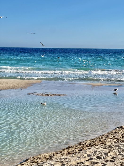 Зимняя аренда апартаментов в Кальпе, Коста Бланка