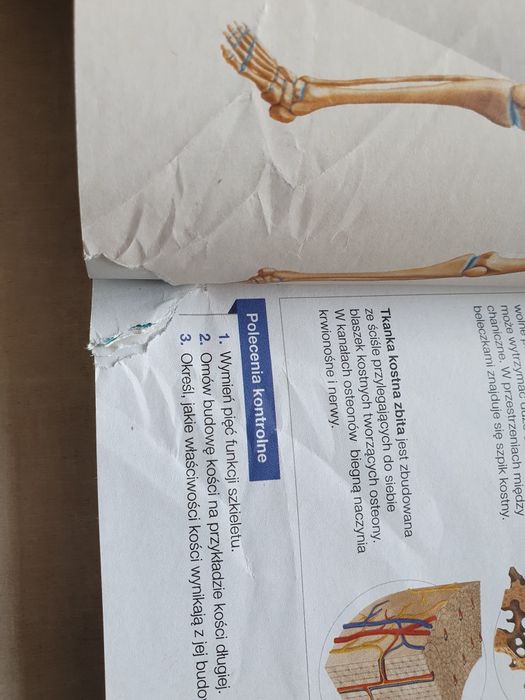 Biologia na czasie 3