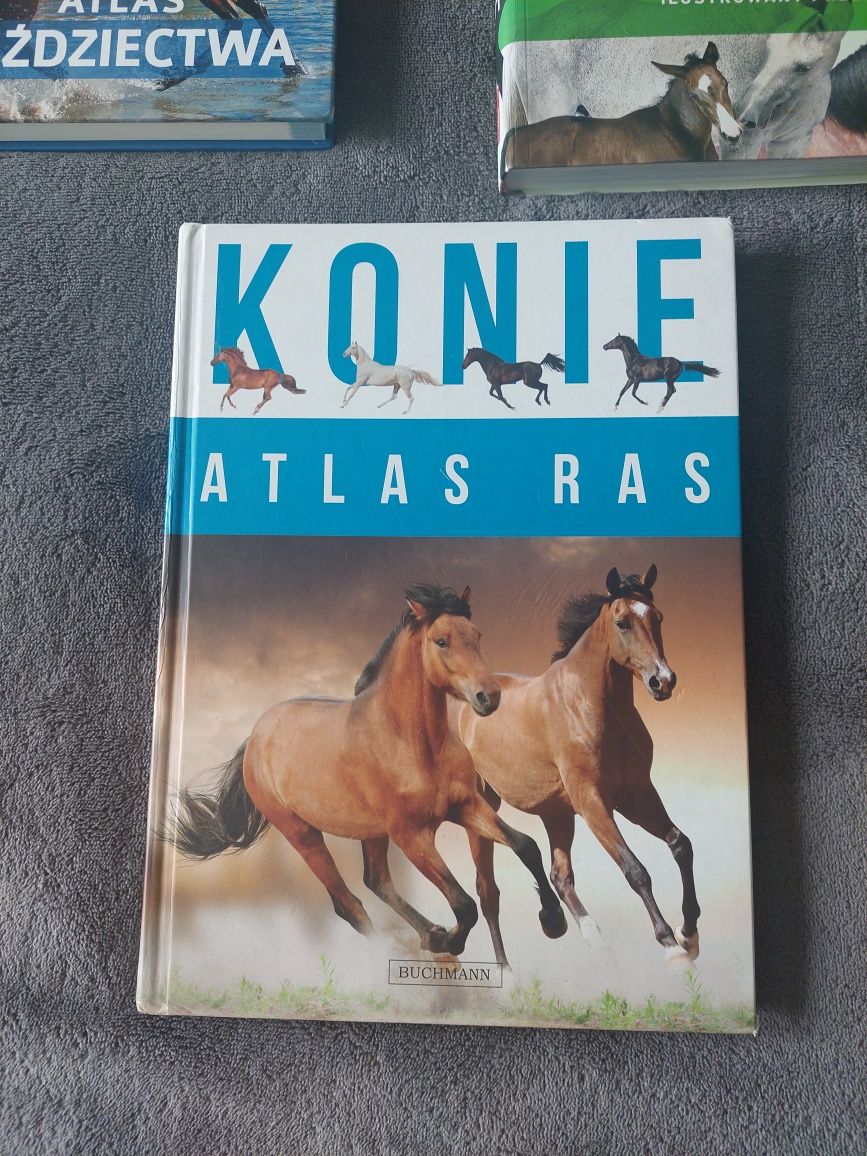 Konie Atlas jeździectwa, konie atlas ras, ilustrowany przewodnik