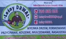 Wycinka Drzew, utylizacja zielonej masy, podnośnik koszowy, Frezowanie