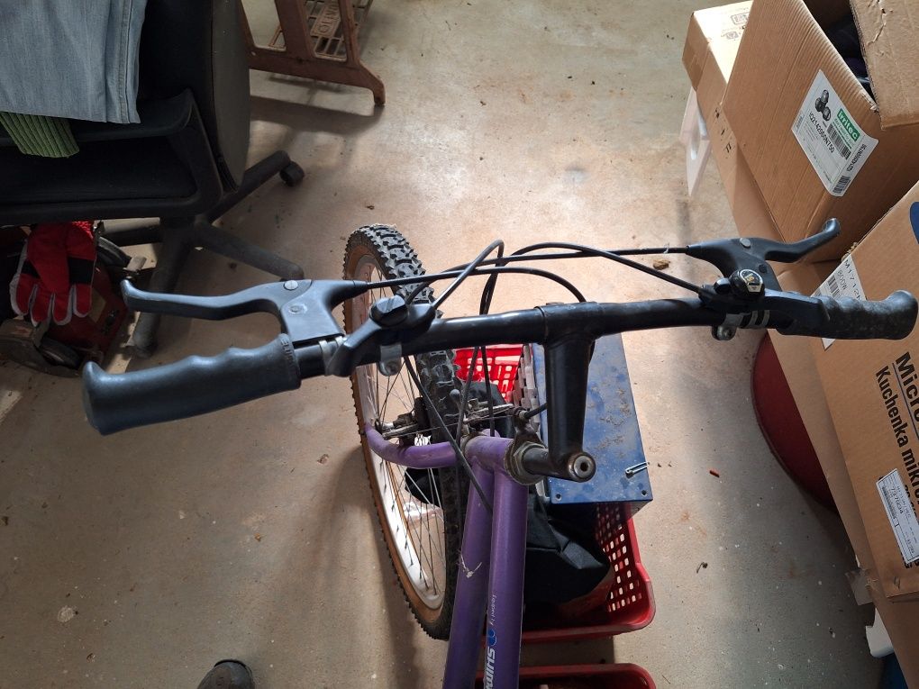 Bicicleta de senhora