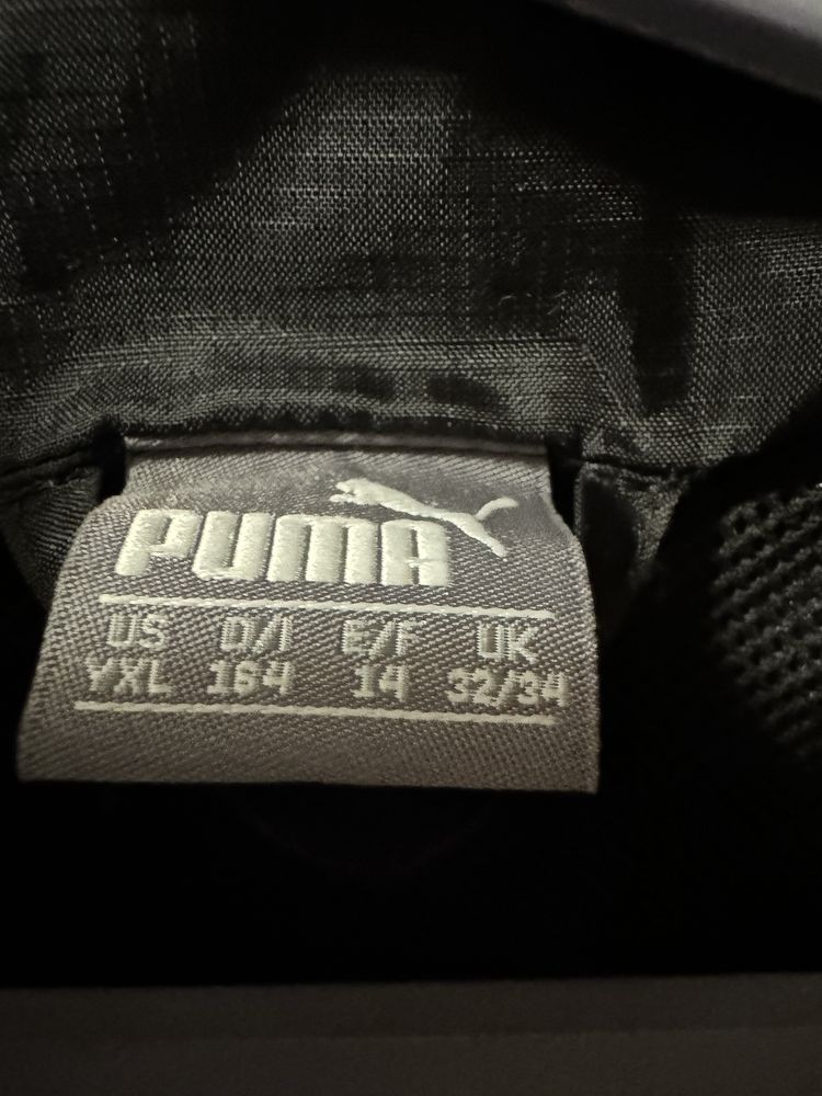 Вітровка Puma