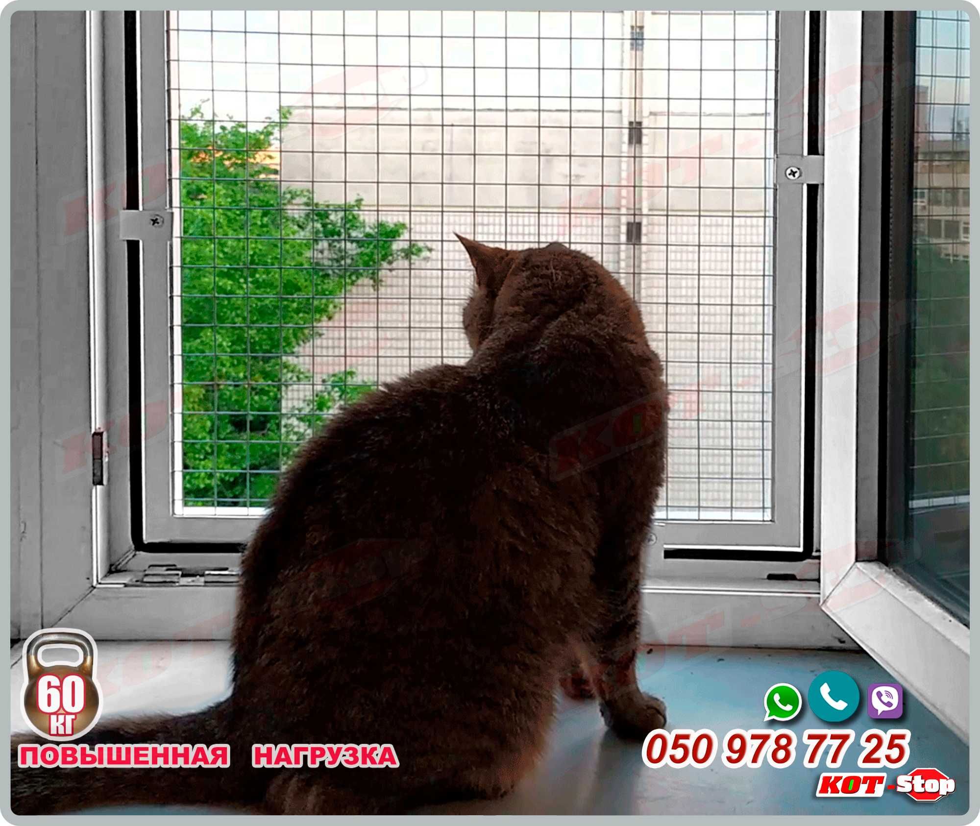 АНТИКОШКА защитная решетка для кошек на окно ЖЕСТКИЕ КРЕПЛЕНИЯ
