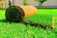 Рулонний газон (трава) найвищої якості від виробника.
