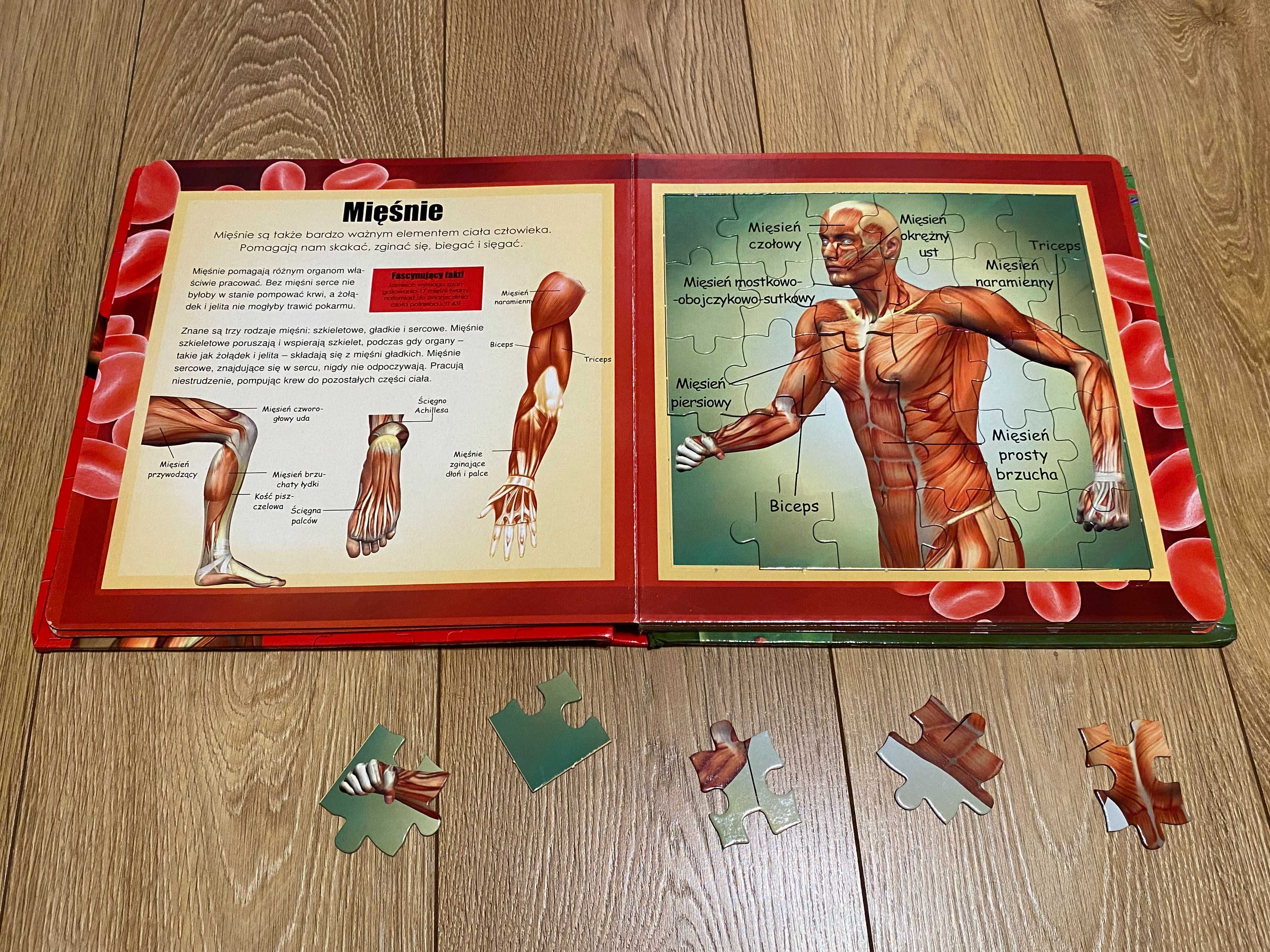 Książka edukacyjna Puzzle Anatomia Dla Dzieci