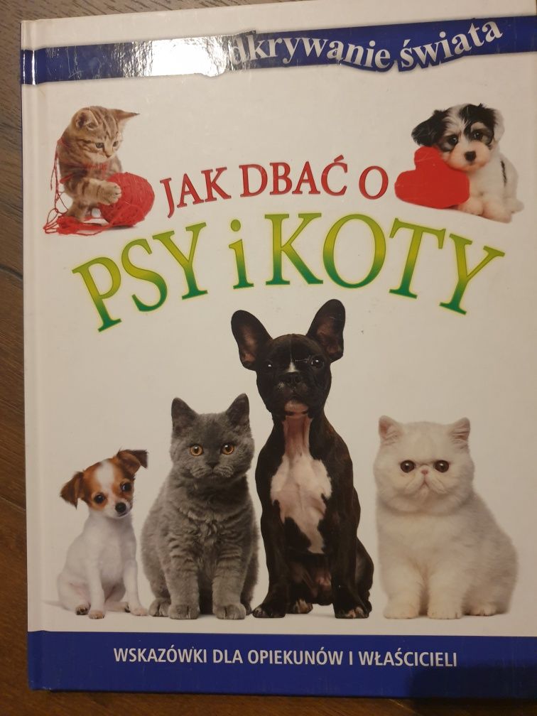 Poradnik jak dbać o psy i koty