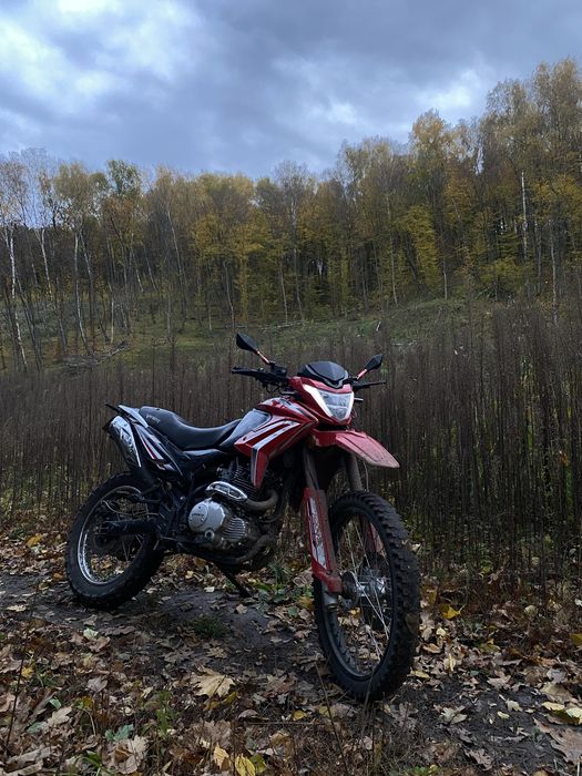 Viper v250l new plus