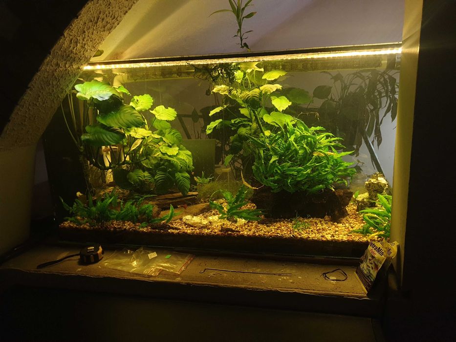 akwarium morskie 390litrów + sump90litrów
