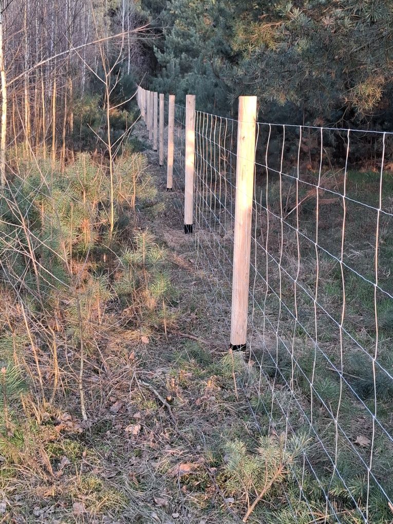 Komplet ogrodzenie z siatka leśna słupki stemple tymczasowe budowlane