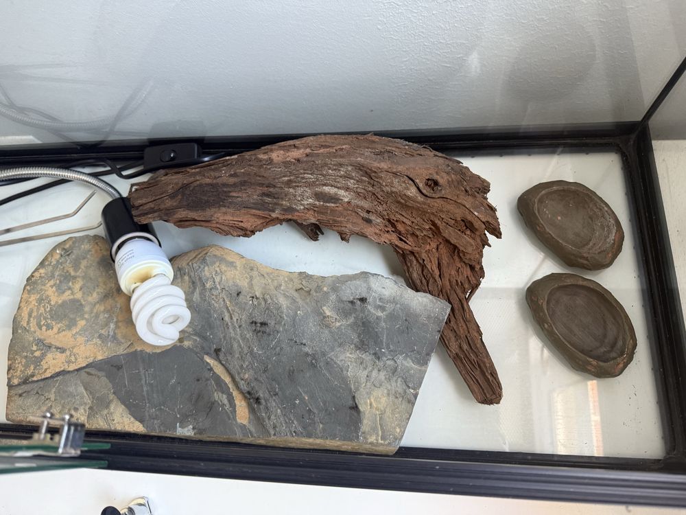 Terráreo para repteis completo