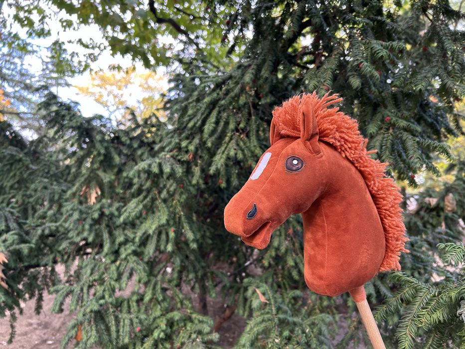 Hobby horse rydy