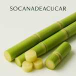 Cana de Acucar Organica
