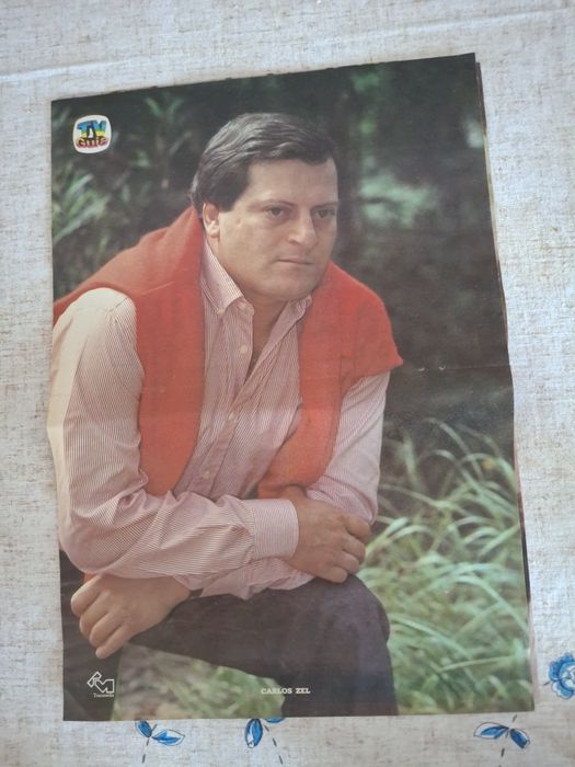 Poster carlos zel tv guia