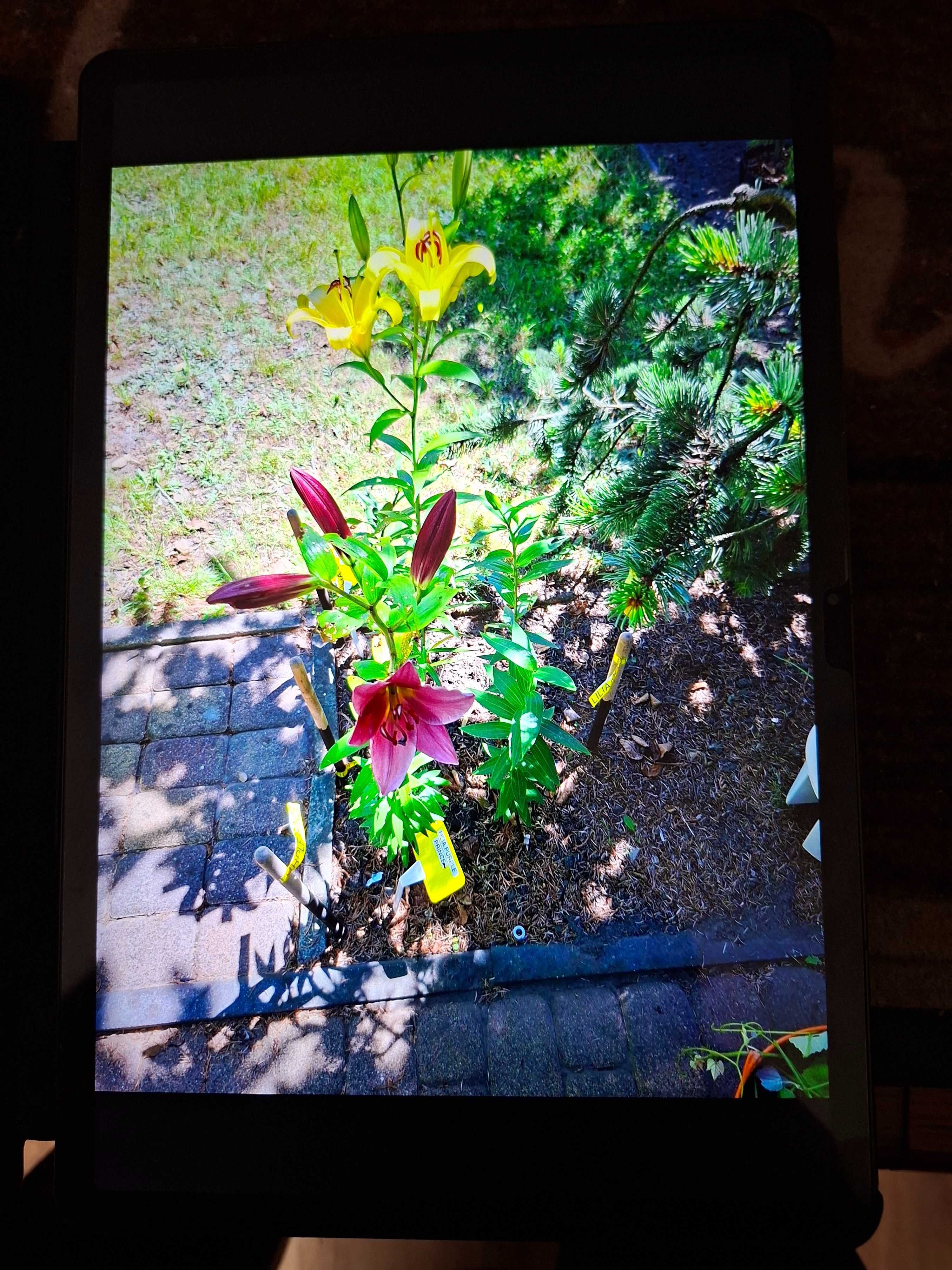 TABLET Doogee T30 MAX 12,4" cala
