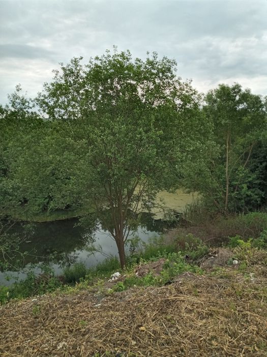 Продам двоповерхове нежитлове приміщення 340 м2 в с. Локітка