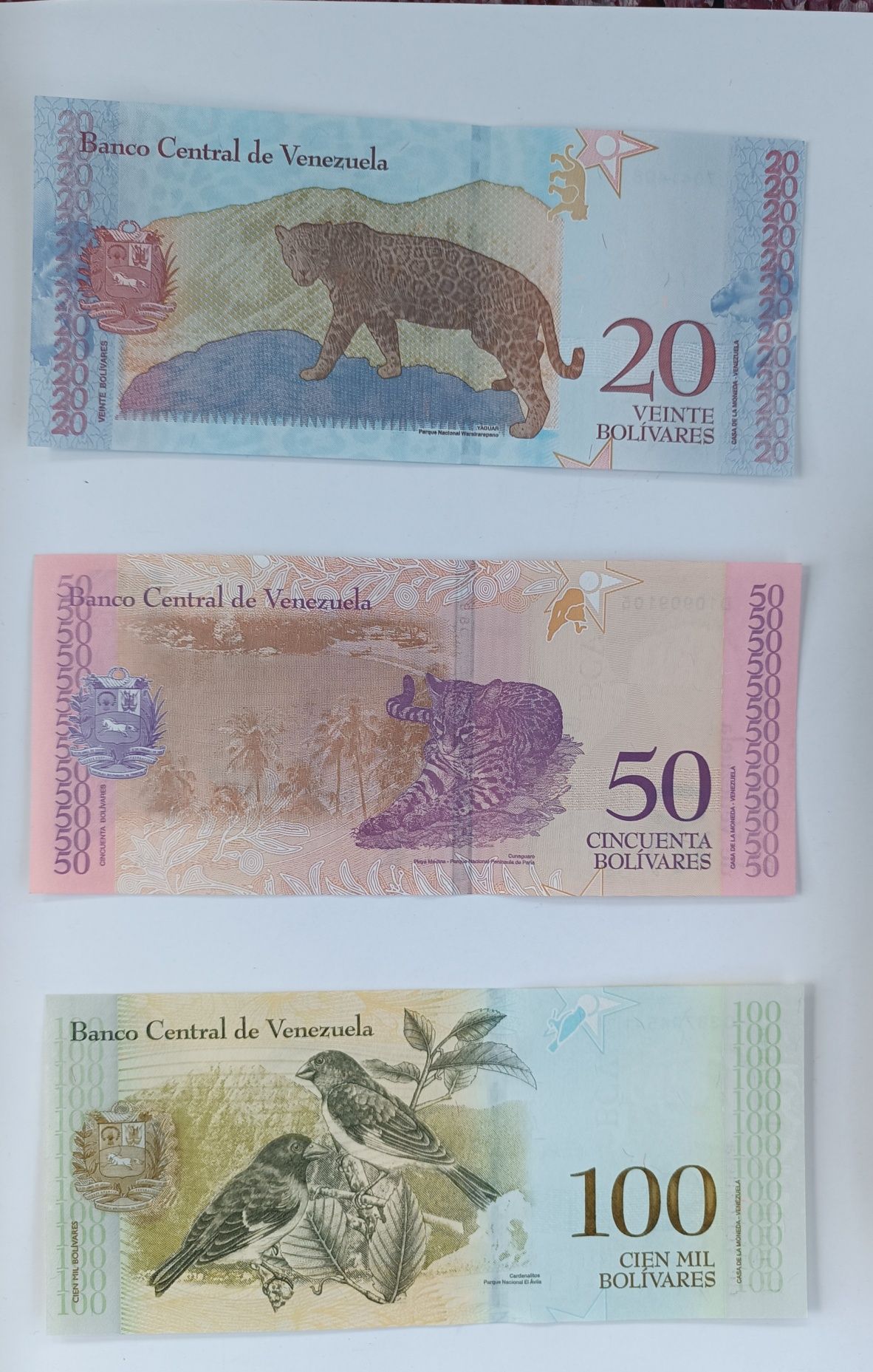 zestaw banknotów 2-2000 bolivares Wenezuela  , 9 szt