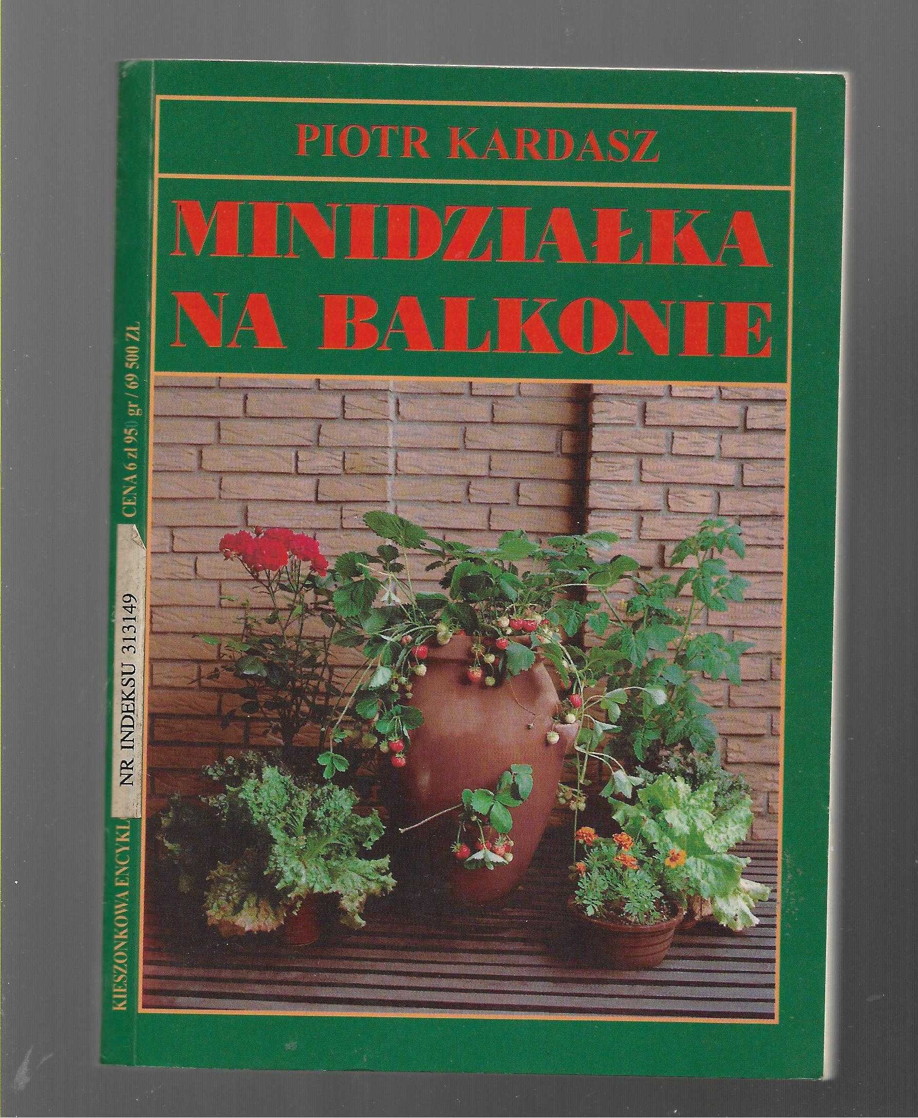 Minidziałka na balkonie Kardasz 1996