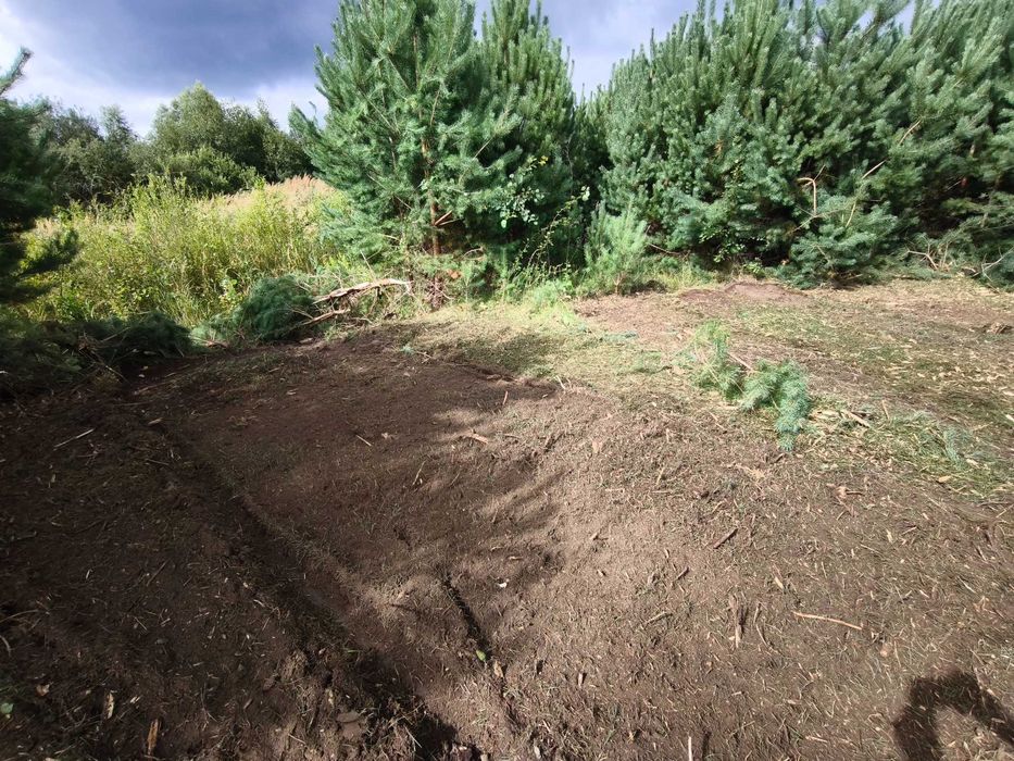 Mulczer leśny - Czyszczenie, oczyszczanie działek, nieużytków, gruntów