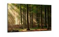 Obraz na płótnie 120x80 las natura flora