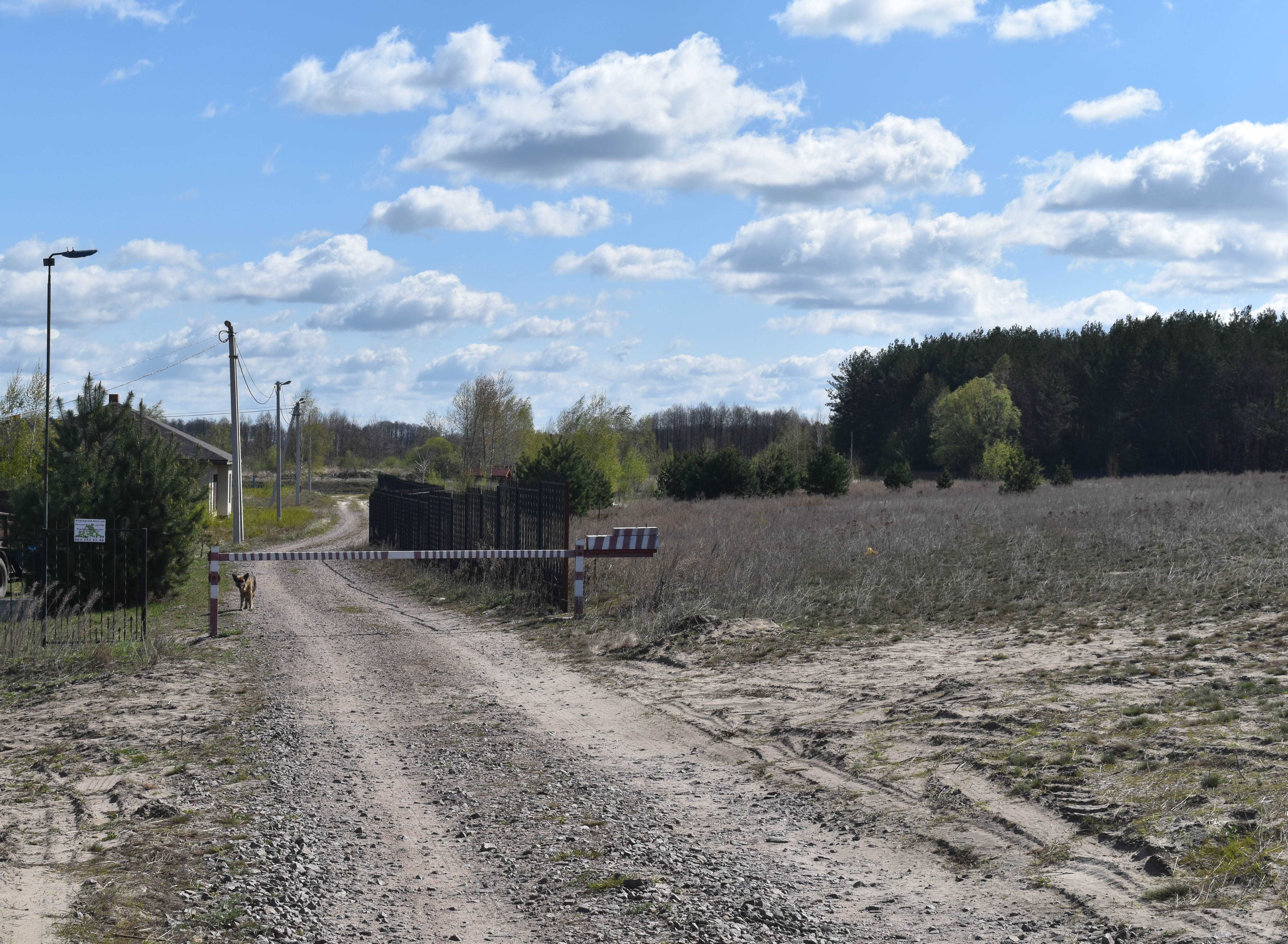 Участок 7.9 га. Гавронщина, Макаровский район.