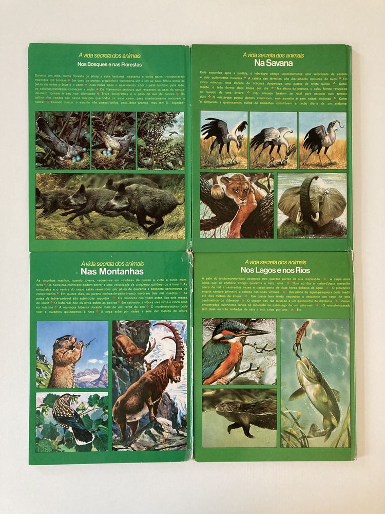 A Vida Secreta dos Animais Vintage Anos 80 (4 Volumes - Incompleto)