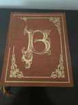A Biblia ilustrada - Antigo e Novo testamentos (2 Volumes)