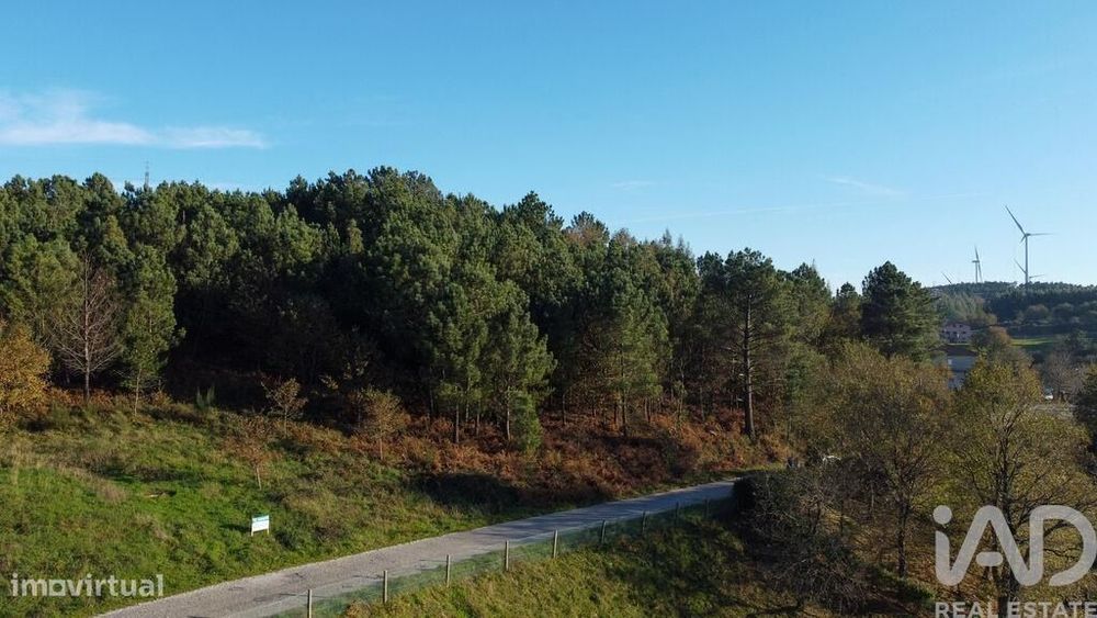 Terreno em Moledo de 9040,00 m2