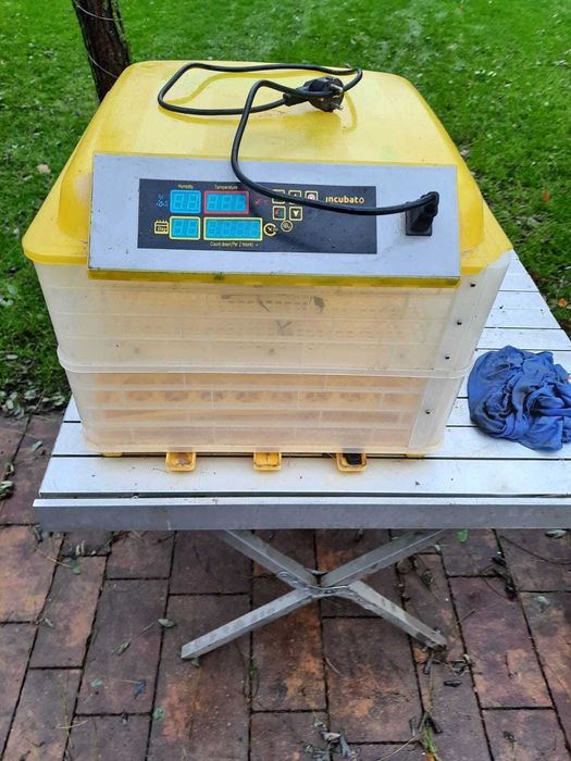 Inkubator na jajka (klujnik wylegarka)