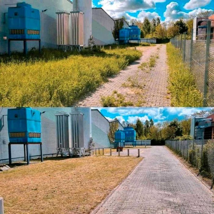 DOBRA ZIEMIA OGRODNICZA Ogrodowa Przesana OGRODNIK Zakładanie trawnika