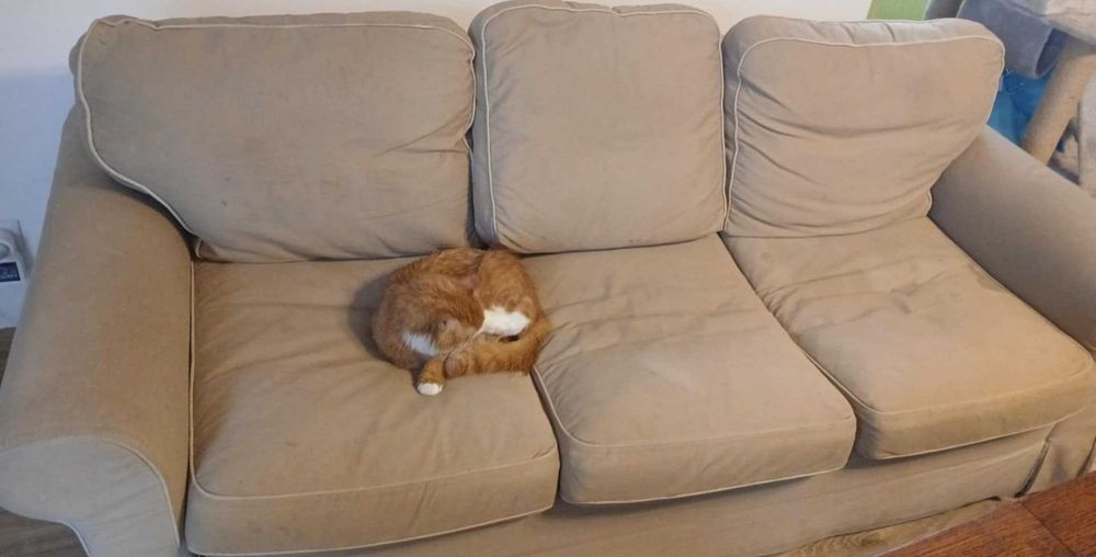 Kanapa rozkładana - oddam