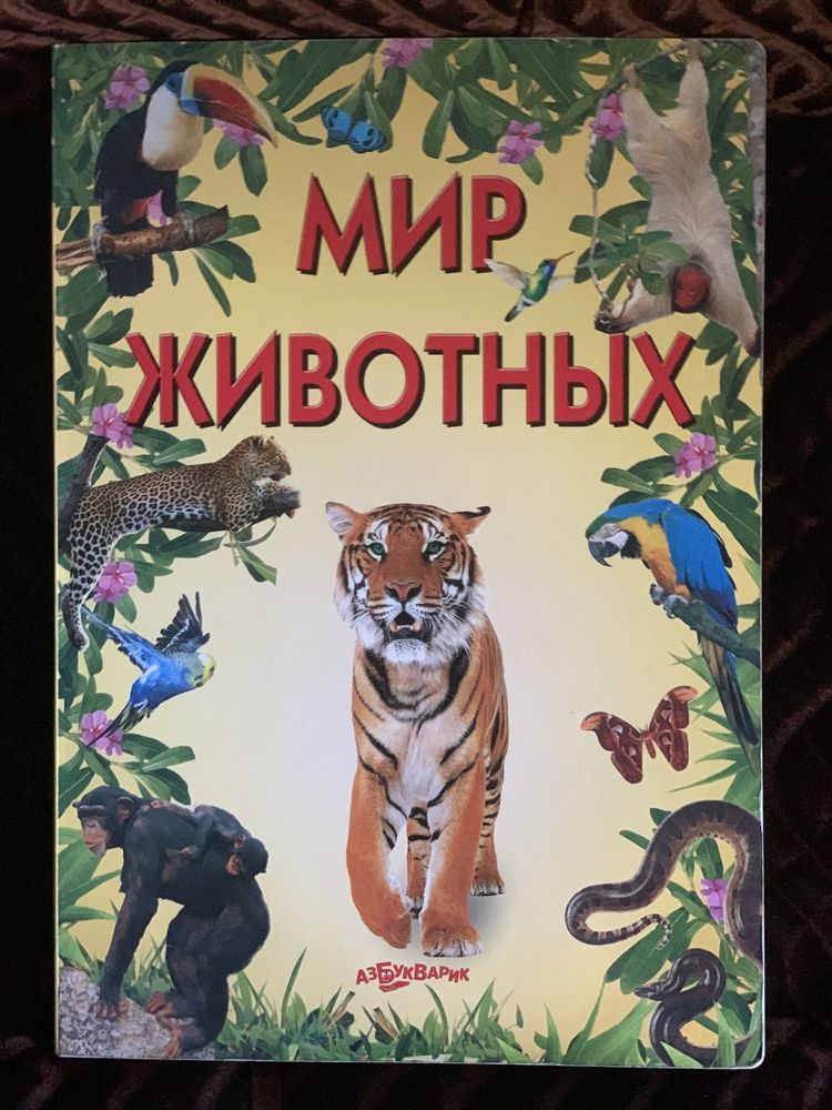 Детские книги и энциклопедия про животных