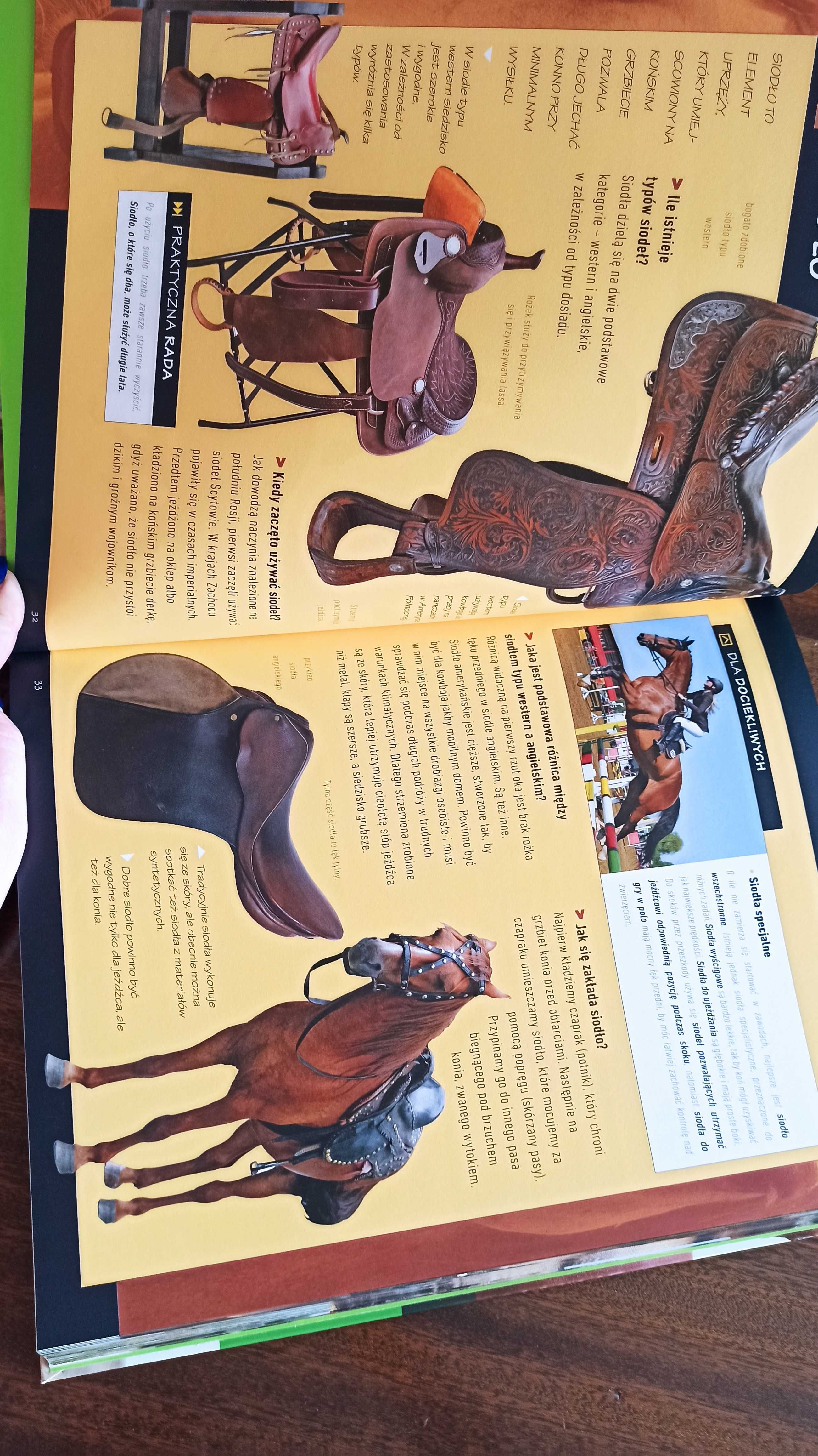 Książka konie ilustrowany przewodnik