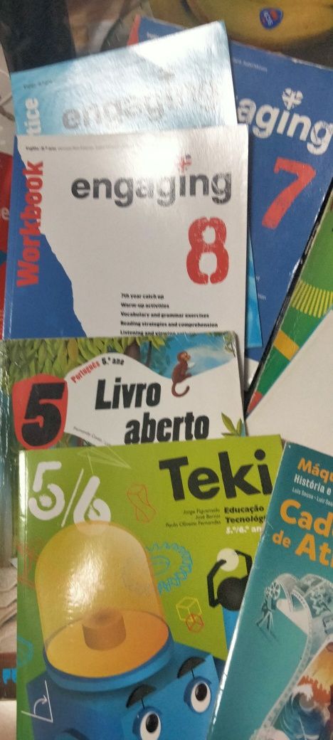 Livros e cadernos de actividades vários do 5 ao 8 ano