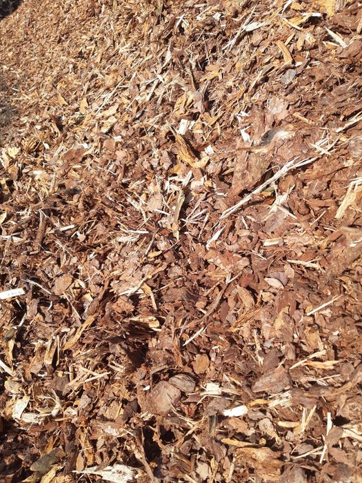 Kora sosnowa swieza pachnąca 80l worek 14zl