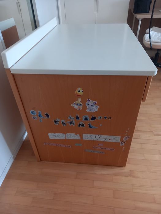 Secretaria branca e castanha