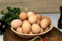 Продам домашні  яйця цесарки столові.