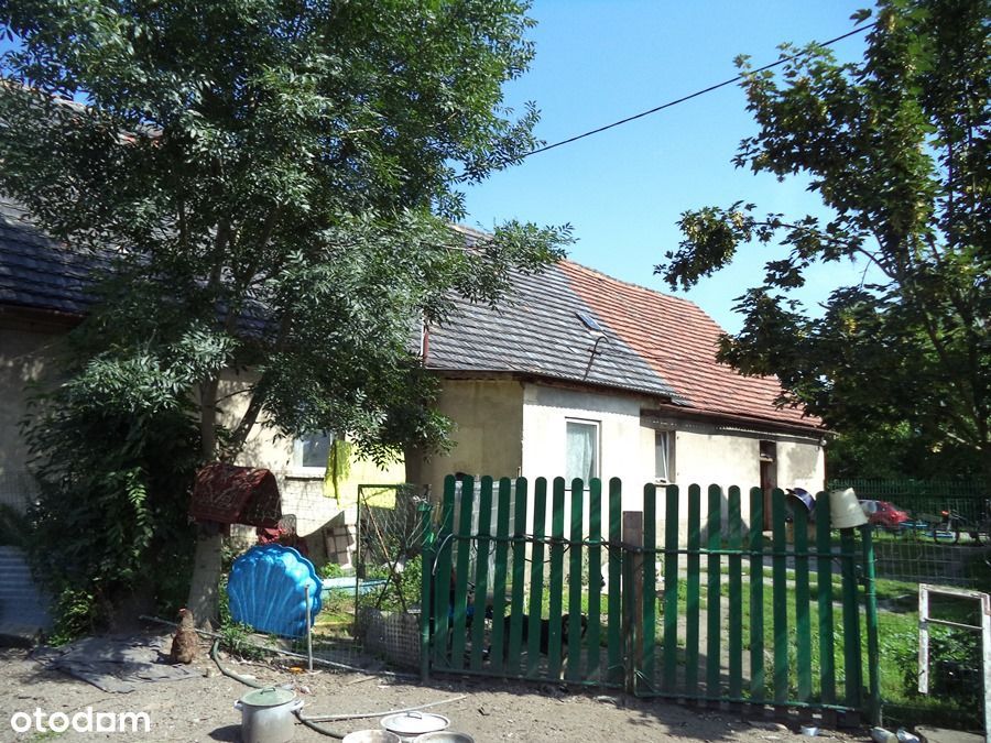 Dom do remontu w Niwicy