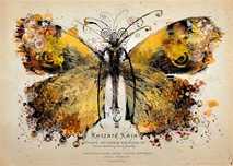 Plakat Ryszard Kaja Zloty Motyl
