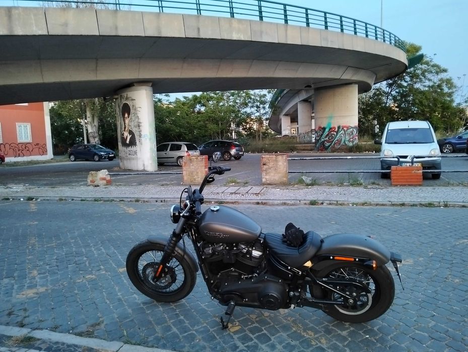 Harley Davidson Street Bob 2019